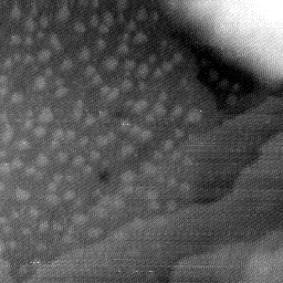 08152019BU