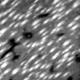 08192020AZ
