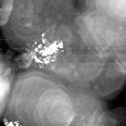 08262020AE