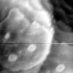 08262020AG