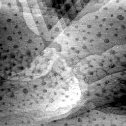 08272020BI
