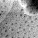 08282020AF