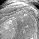 09012020AD