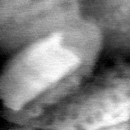 09022020AF