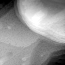 09022020AZ