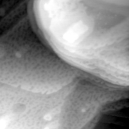 09022020AZ