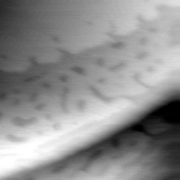 09022020BN