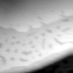 09022020BO