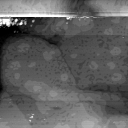 09062019AZ
