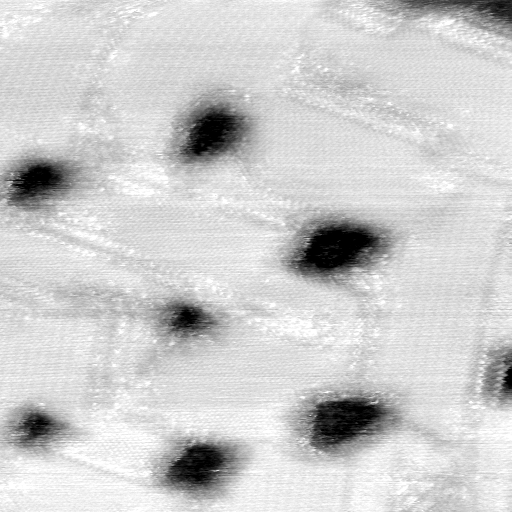 09151100AC