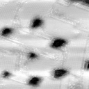 09151100AC