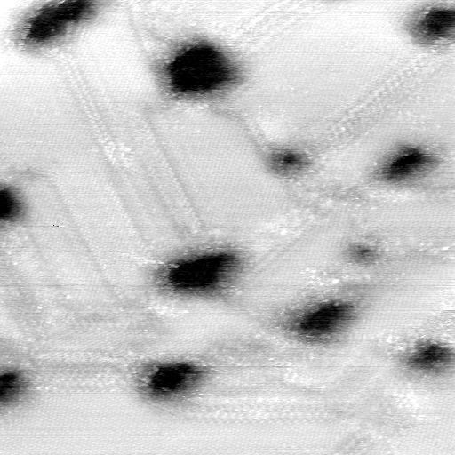 09151100AG