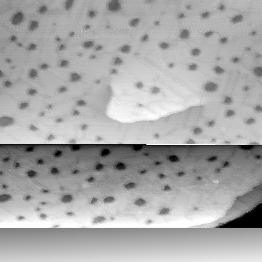 09151100AN