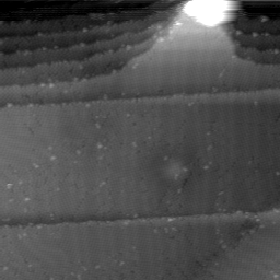 m1021_ori