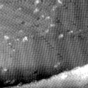 m1025_ori