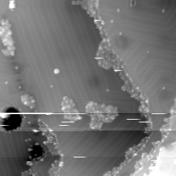 m1287_ori
