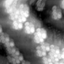 m15494_ori
