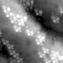m15495_ori
