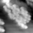 m15499_ori