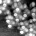m15502_ori
