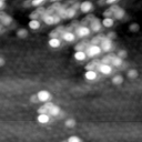 m15505_ori