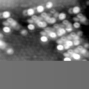 m15506_ori