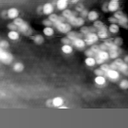 m15507_ori