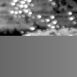 m15517_ori