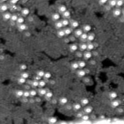 m15521_ori
