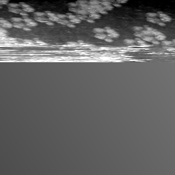 m15523_ori