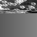 m15523_ori