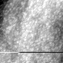 m1786_ori