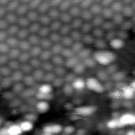 m30336_ori