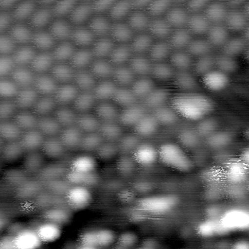 m30336_ori