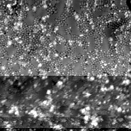 m30344_ori