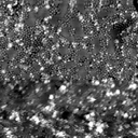 m30344_ori