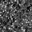 m30345_ori