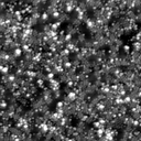 m30346_ori