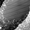 m30349_ori