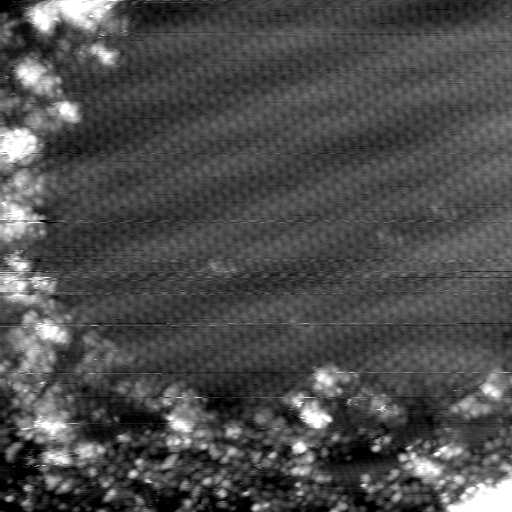 m30351_ori