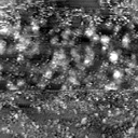 m30368_ori