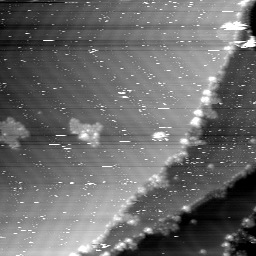 m30393_ori