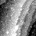 m30411_ori