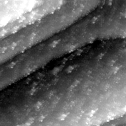 m30425_ori
