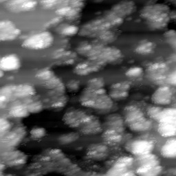 m30449_ori