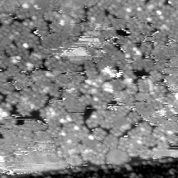 m30465_ori