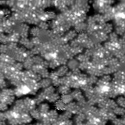 m30477_ori