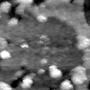 m30491_ori