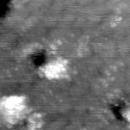 m30498_ori