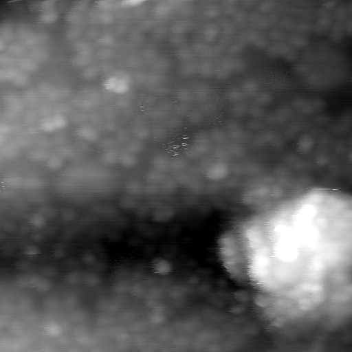 m30512_ori